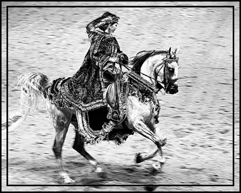 Rider by Ray Holmberg